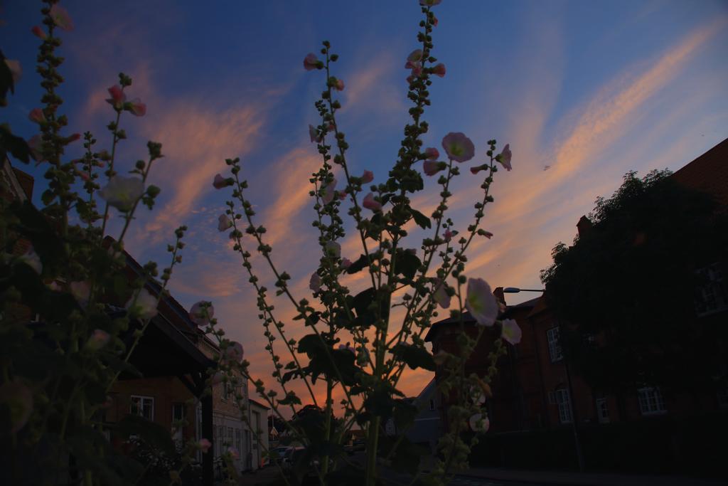 Kobmandsgardens B&B Kerteminde Dalby Exteriör bild